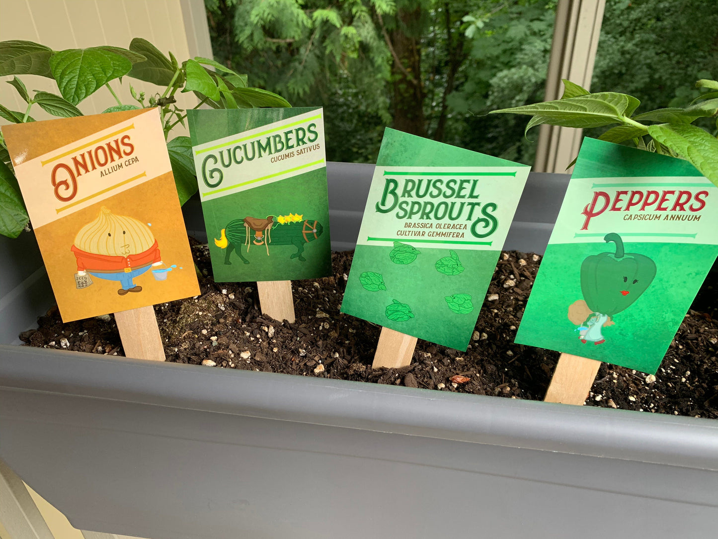 Individual Vegetable Garden Markers (Weather Resistant with wooden stakes)