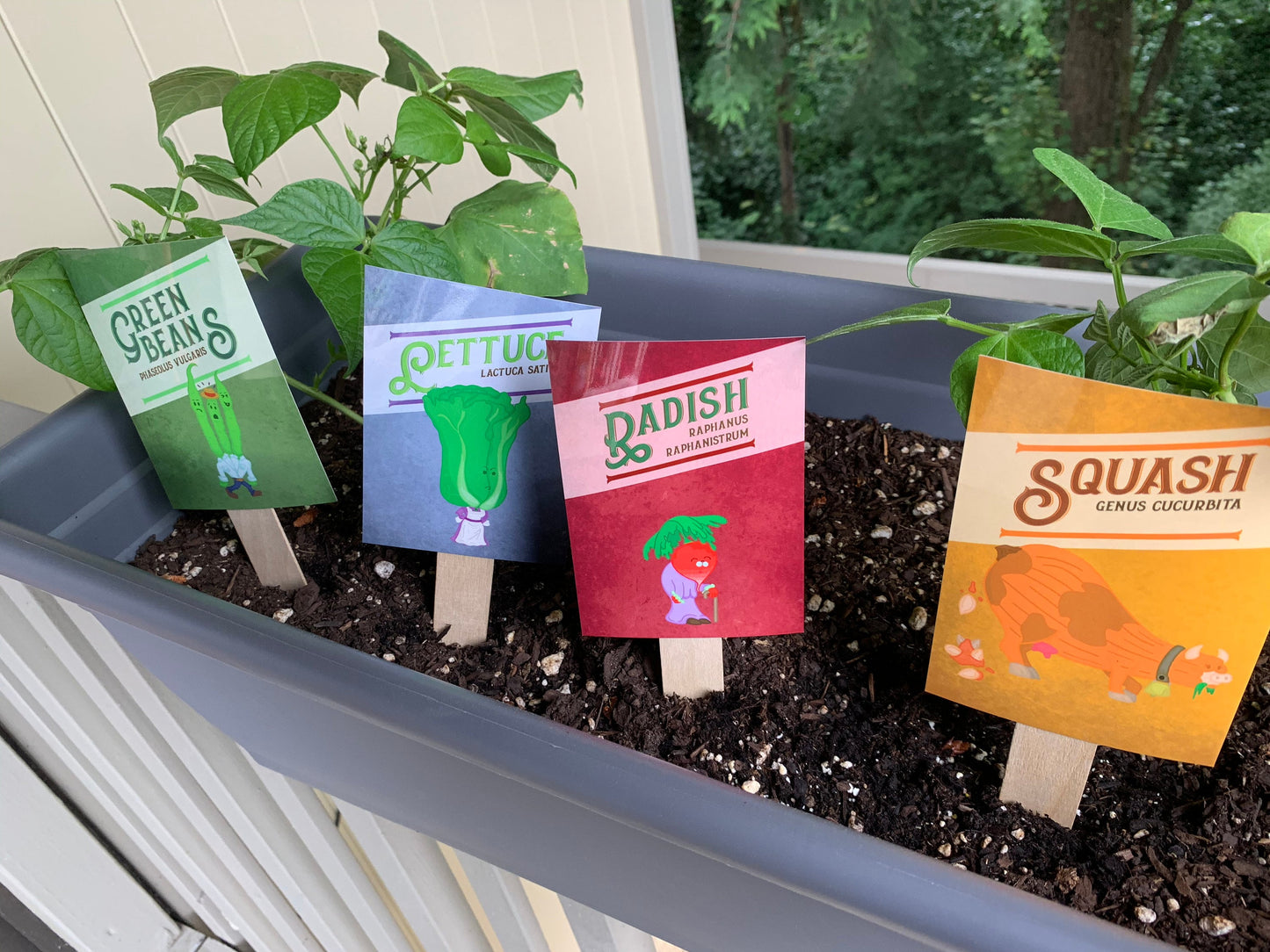 Individual Vegetable Garden Markers (Weather Resistant with wooden stakes)