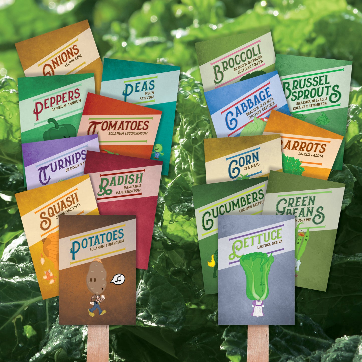 Individual Vegetable Garden Markers (Weather Resistant with wooden stakes)