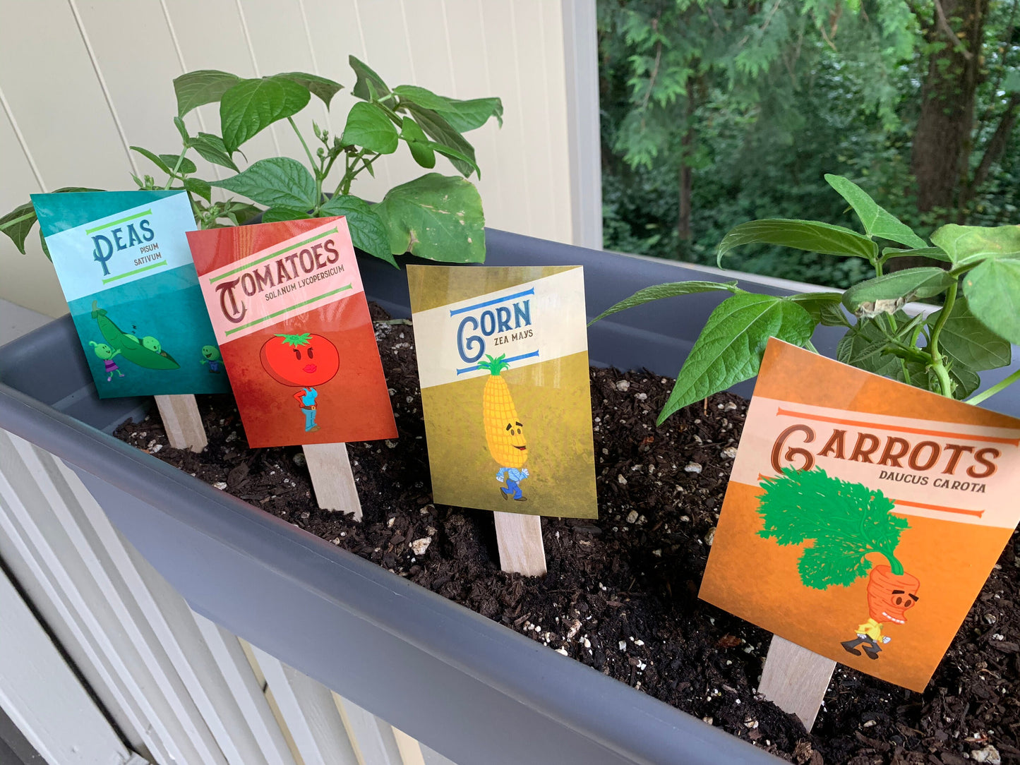 Individual Vegetable Garden Markers (Weather Resistant with wooden stakes)