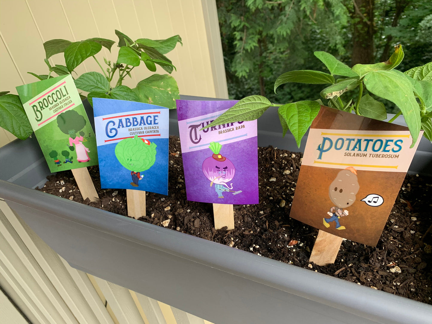 Individual Vegetable Garden Markers (Weather Resistant with wooden stakes)