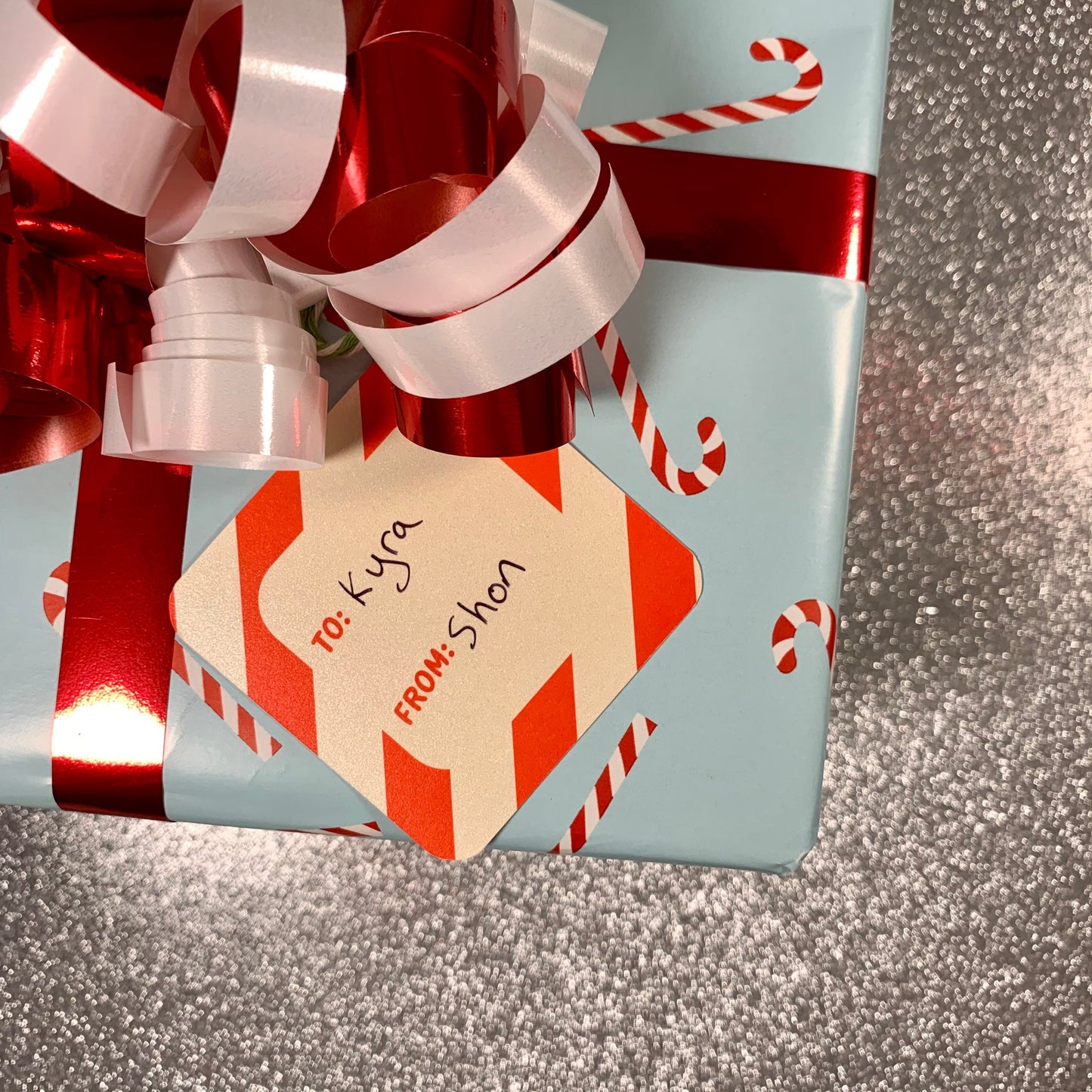 8 Gift Tag Set with Cats and Dogs Christmas Holiday Pet Theme (2.5 x 2.5 inch)