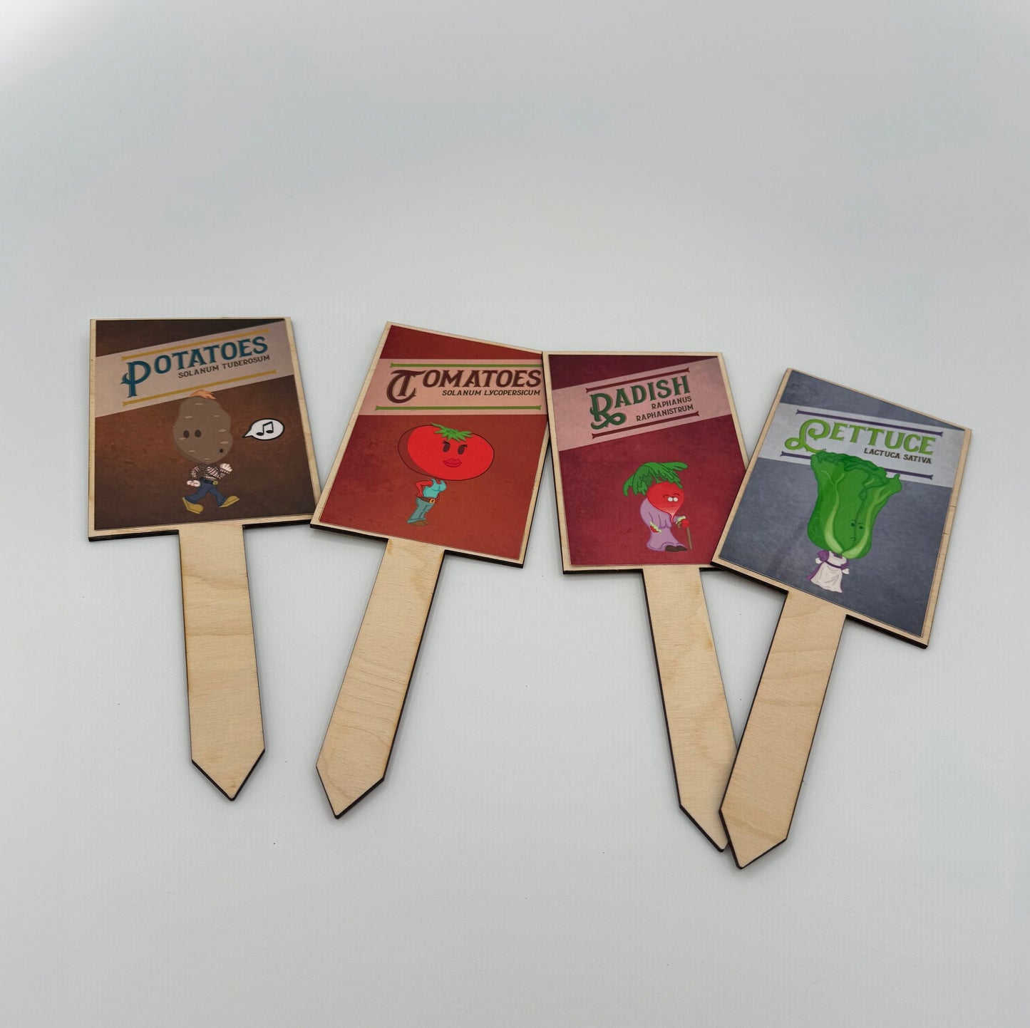 Image of potato man, tomato lady, Radish Granny, Lettuce Woman. Each has their vegetable name and their latin vegetable name. Example: Solanum Tuberosum for Potatoes.